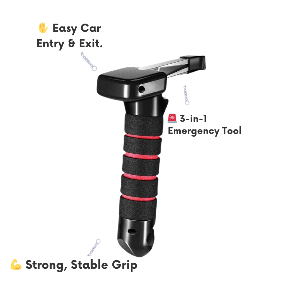 SafeStep™ Assist System