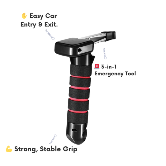 SafeStep™ Assist System
